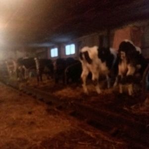 Meet your Posher, Matthew